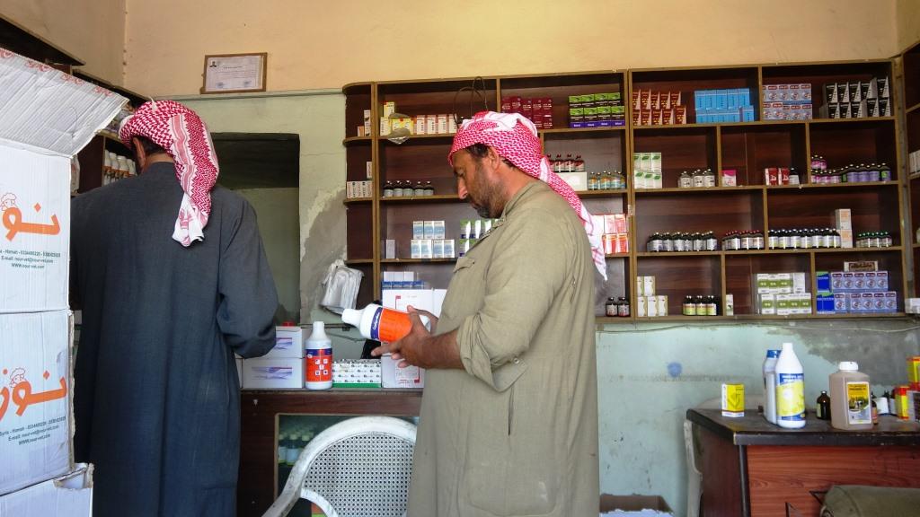 Sewalvanên Reqayê bi gazinc in