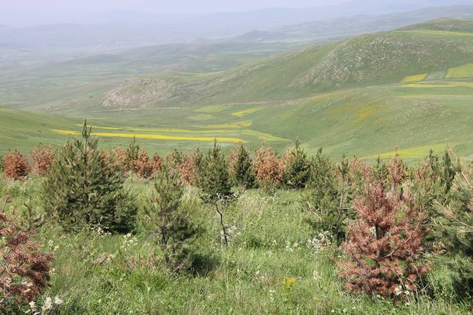 Daristan bi 300 hezar dar zer bû