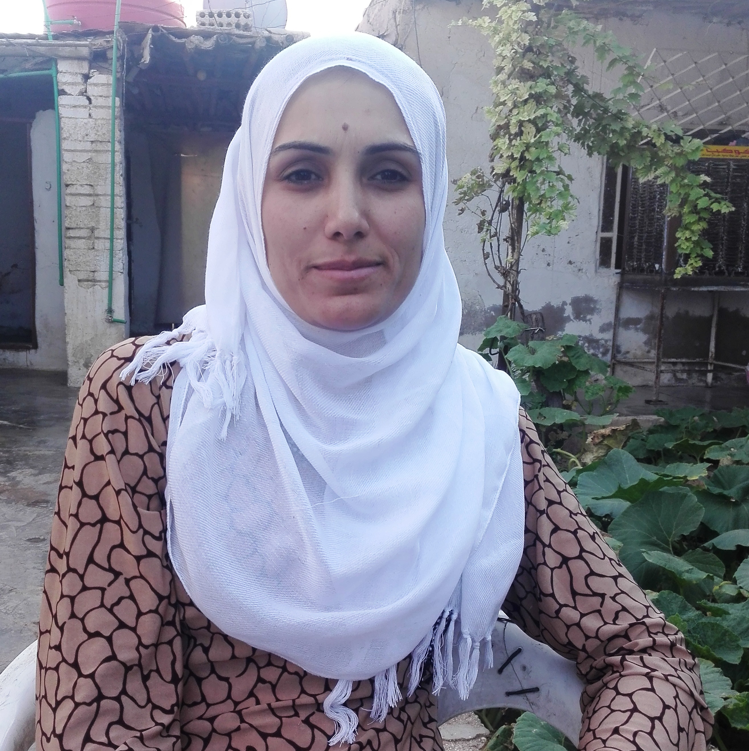 Ji sedî 75 jin komînê birêve dibe