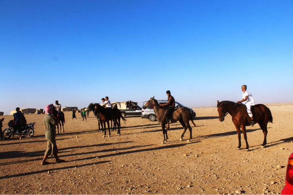 Pêşbirka hespên Ereb hat lidarxistin