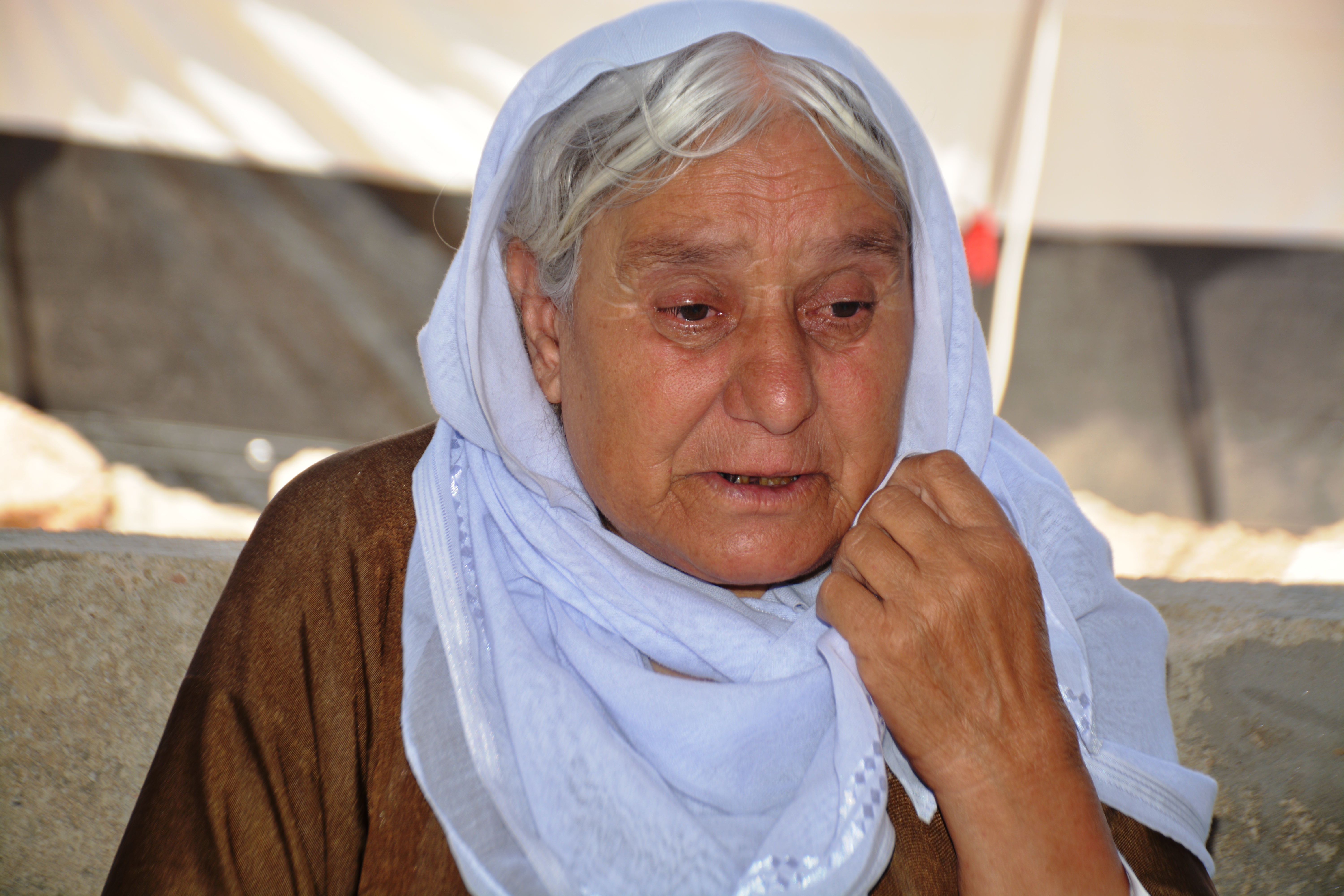 Rojek bi êşa sedê salan bû