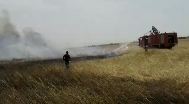 Hêzên dagîrker li Til Temir zeviyên çandiniyê şewitandin