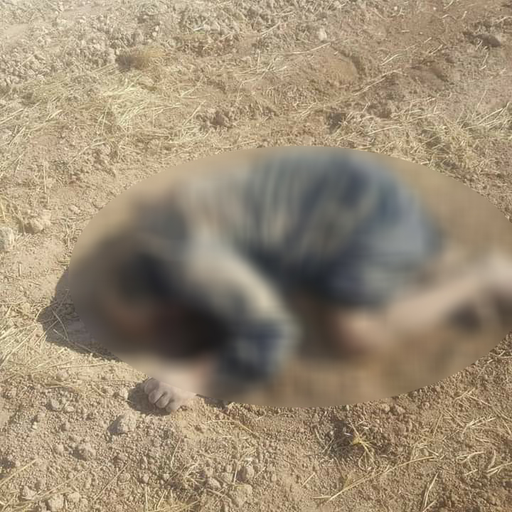 Çeteyên Tirkiyê welatiyekî ji Girê Spî kuştin