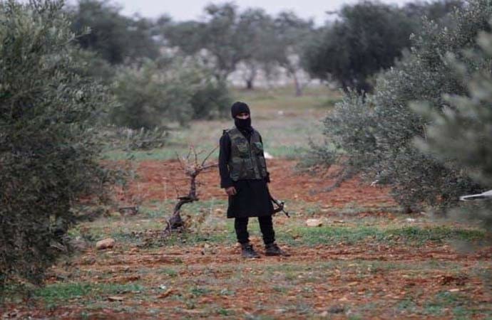 Dewleta tirkî zeyta Efrînê didize û difiroşe sûkên Ewropa û Emerîka