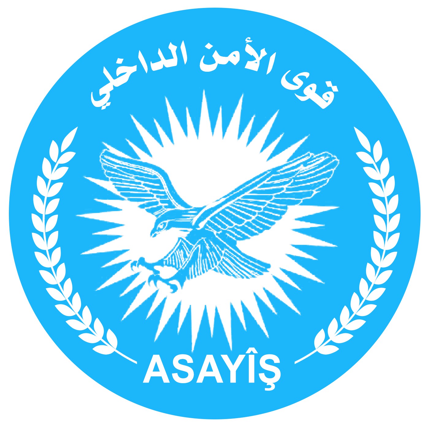 Hêzên Ewlekariya Hundir li ser êrişa hewayî ya li Kobanê daxuyanî da