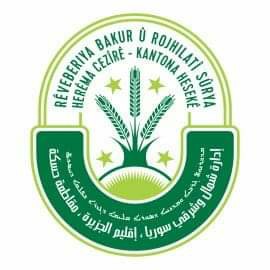 Meclisa Hesekê kuştina hevseroka meclisa Til El-Şayir û cîgira wê şermezar kir