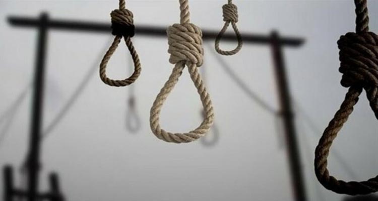 Di 8 mehan de li Îranê 345 kes hatne darvekirin