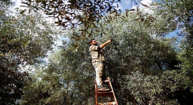 Dagirkeriyê 21 milyon dar birîne û 9 hezar kes revandine’