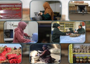 Li dijî pergala kapîtalîst bi projeyên aboriya rêxistinkirî bersiv tê dayîn
