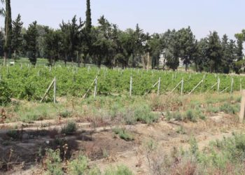 Pergala koperatîfan jiyana hevbeş misoger dike