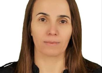Siberoja sûriyê yan pergalek fedral ya demokratîk, an jî pergalek otorîter- cîhadîst-tundraw e