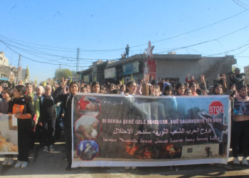 Li dijî êrişîn dagirkeriyê gelê Amûdê rabûn ser piyan
