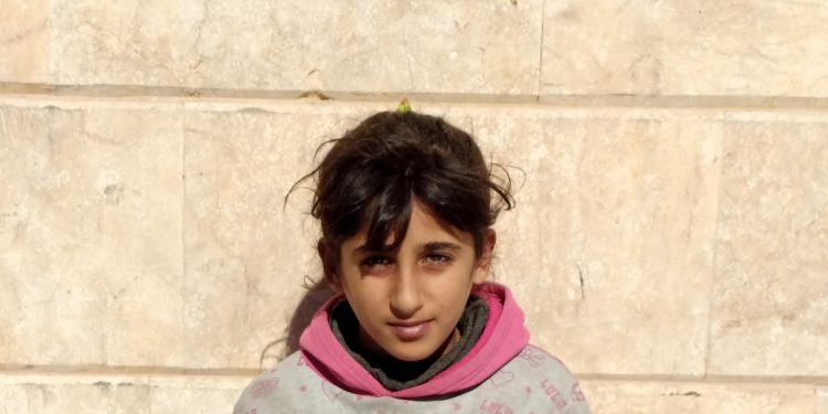 Li hemberî dagirkeriyê hewldanên jiyanê