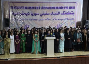 “Bi hevgirtina jinan em ê Sûriya demokratîk ava bikin”