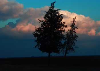 Bi kamîreya Hemza Sêvo