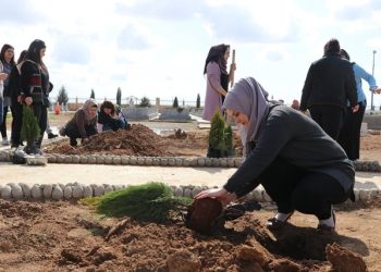 Li Kobanê pêngava çandina daran