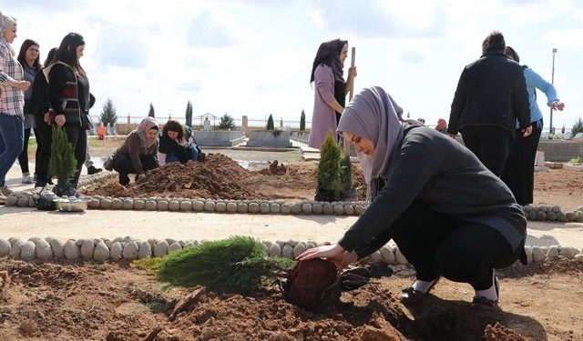 Li Kobanê pêngava çandina daran