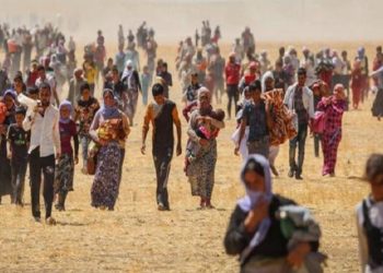 Hejmara şehîd û windayên fermanê hat aşkerekirin