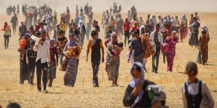 Hejmara şehîd û windayên fermanê hat aşkerekirin