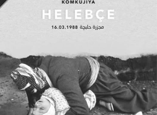 Wê hêviyên zarokên Helebce bi dahatûyeke azad werin tacîdarkirin