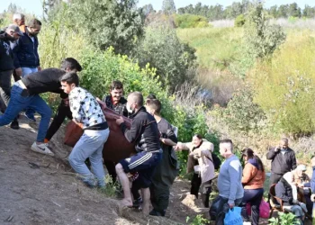 Li Beravên Sûriyê.. 2 hezar û 246 Elewî hatin qetilkirin