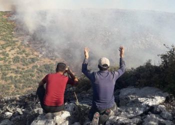 Efrîn.. di navbera 7 sal ji qirkirin û vegera bi ewle de
