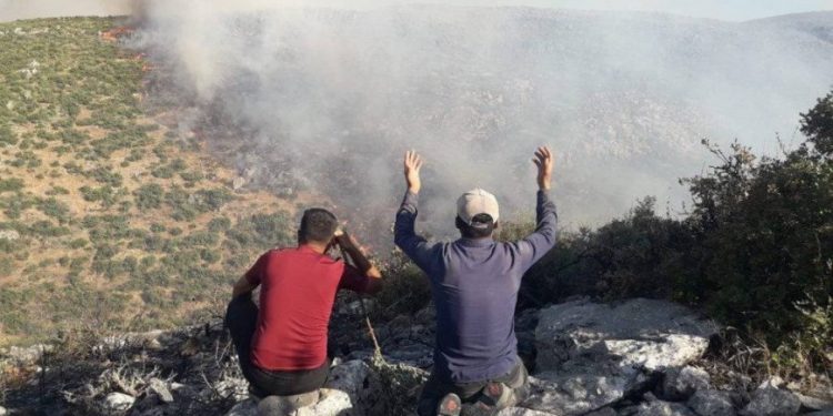 Efrîn.. di navbera 7 sal ji qirkirin û vegera bi ewle de
