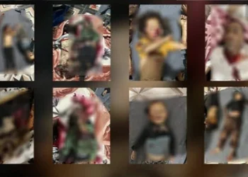 Zarokên Bakur û Rojhilatê Sûriyê bi sûcên şer re rûbirû ne