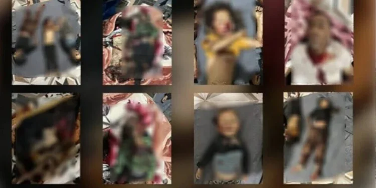 Zarokên Bakur û Rojhilatê Sûriyê bi sûcên şer re rûbirû ne
