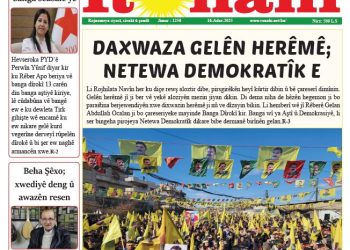 DAXWAZA GELÊN HERÊMÊ; NETEWA DEMOKRATÎK E