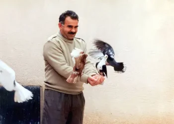 ‘Ji bo serxistina pêvajoyê divê Rêber Apo azad bibe’