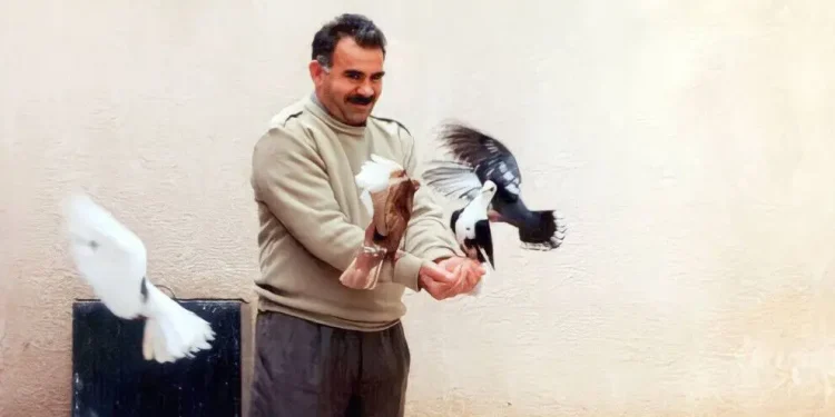 ‘Ji bo serxistina pêvajoyê divê Rêber Apo azad bibe’
