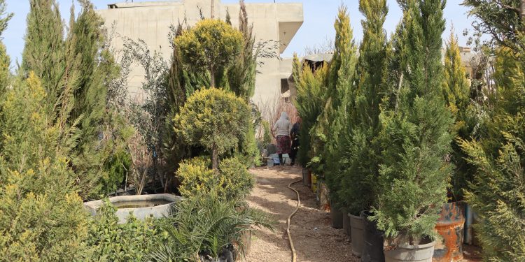 Belavbûna şitilgehan giyanê bajar geş dike