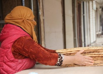 ‘Ji bo misogerkirina mafê jinên kedkar xebat tê meşandin’