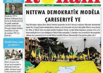 NETEWA DEMOKRATÎK MODÊLA ÇARESERIYÊ YE
