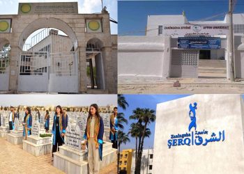Zanîngeha Rojava; Beşa Endezyariya Mîkatronîk û Peywendiyan