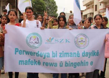 ‘Perwerdeya bi zimanê dayîkê mafekî rewa û bingehîne’