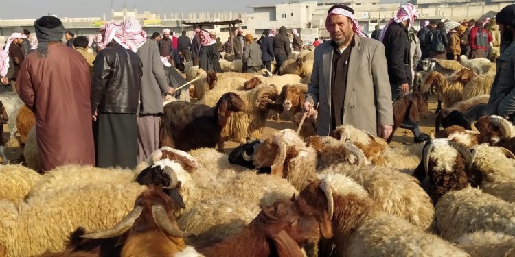 ‘Ji ber rewşa hişkesaliyê metirsî li ser sewalkariyê heye’
