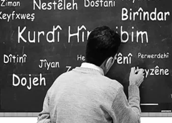 ‘Hîna zimanzan mijara zimanê kurdî li gel hev nîqaş nekirine’