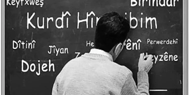 ‘Hîna zimanzan mijara zimanê kurdî li gel hev nîqaş nekirine’