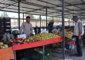  Ji bo paqijiya giştî û hêsankirina çûnûhatinê Şaredariya Qamişlo bi kampaniyekê rabû