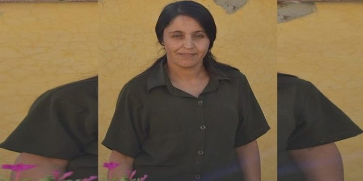 Rêber Apo dengê jin û civakê ye