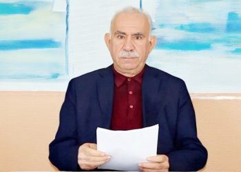 ‘Tirkiyê bi wêrekî nêzî pêvajoyê nabe’