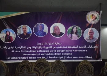 ‛Çareserî, sîstema Hevserokatiyê ye’