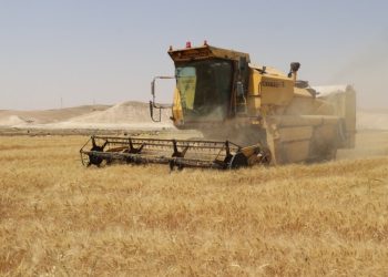 Heta niha zêdetirî 207 hezar ton genim hatiye wergirtin