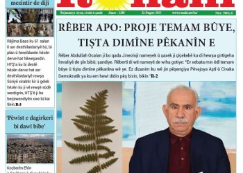 RÊBER APO: PROJE TEMAM BÛYE, TIŞTA DIMÎNE PÊKANÎN E