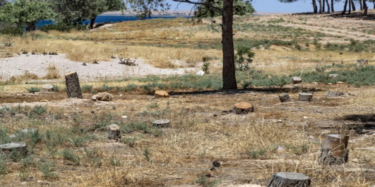 Ji bo jîngeheke saxlem Desteya Jînegehê xebatan berfireh dike