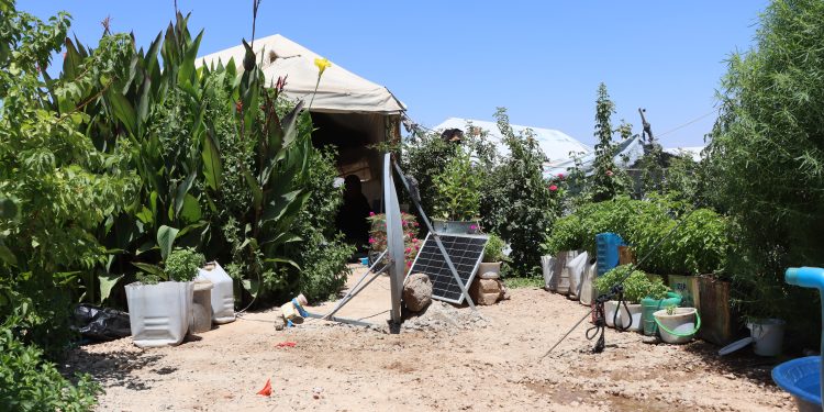 ‘Bi çandina kulîlkan ez zindî dibim’