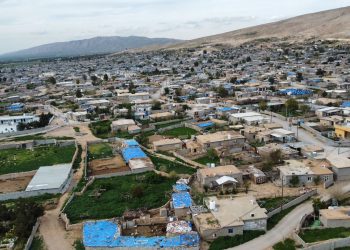 Ji vîna xwe de bi israr in…