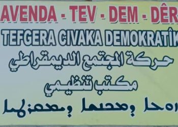 ‘Erkê TEV-DEM’ê rêxistinkirina civakê ye’
